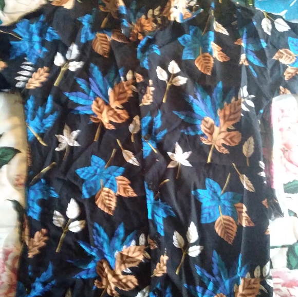 Clothes - Picture 13 of 14